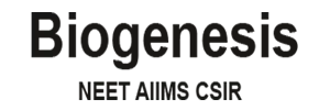 Bio Genesis