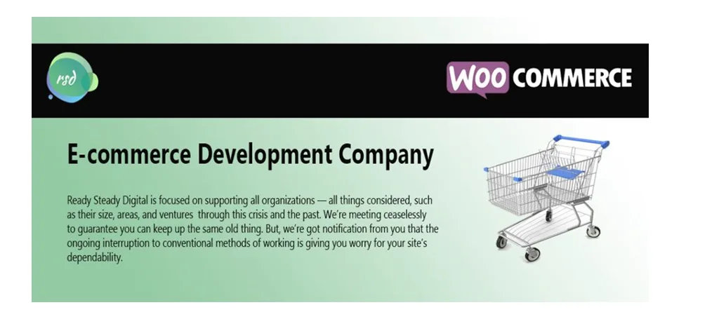 E-commerce Development Company USA